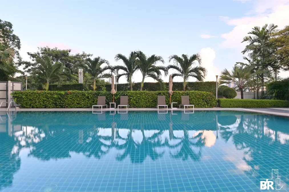 ดีเอส ทาวเวอร์ 2