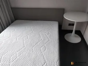 รูปที่ 2