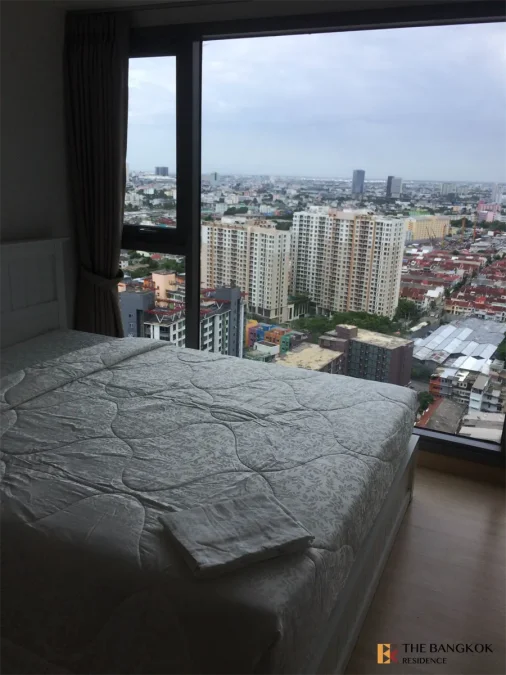 วิสซ์ดอม คอนเนค