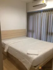 วิสซ์ดอม คอนเนค