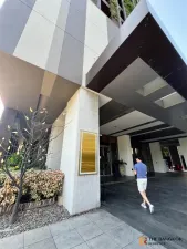 แอชตัน มอร์ฟ 38