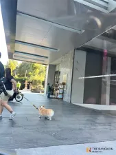 รูปที่ 5