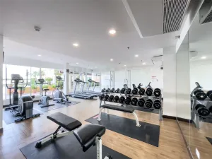 รูปที่ 2