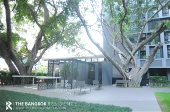 เดอะ ซี๊ด มิงเกิ้ล