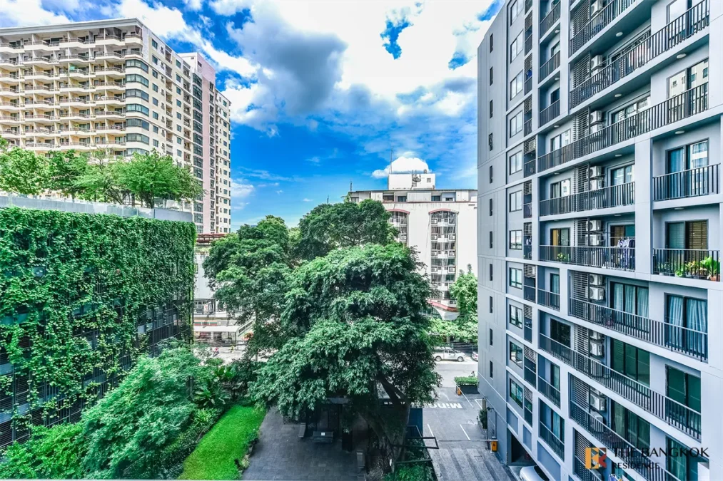 เดอะ ซี๊ด มิงเกิ้ล