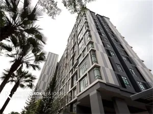 รูปที่ 2