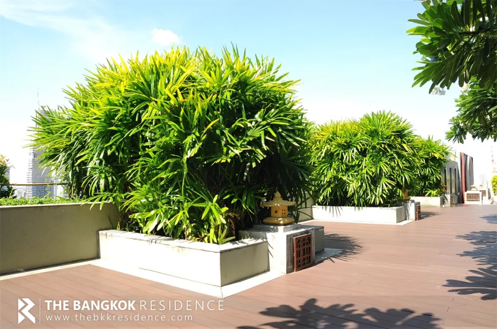 วิช แอท สามย่าน