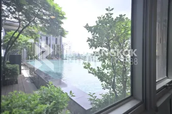 รูปที่ 3