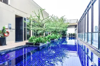 รูปที่ 5