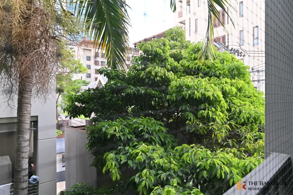 เดอะ ซี๊ด มูซี่