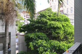 เดอะ ซี๊ด มูซี่