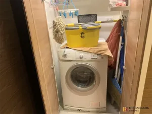 รูปที่ 3