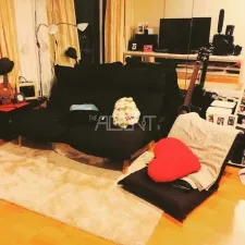 รูปที่ 2