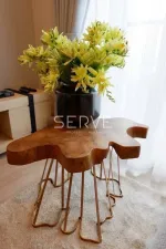 รูปที่ 3