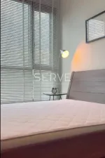 รูปที่ 3