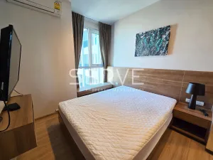 รูปที่ 3