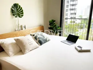 รูปที่ 4