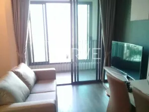 รูปที่ 3