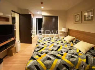 รูปที่ 3