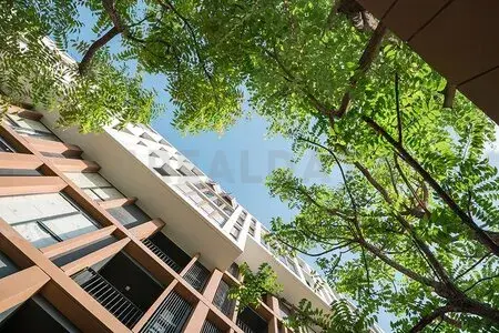 รูปที่ 5