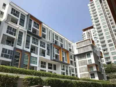 Whizdom The Exclusive