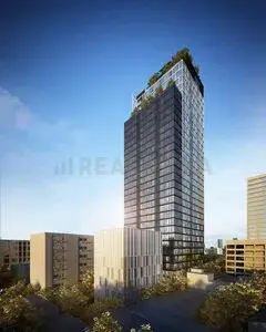 Siamese Exclusive Queens