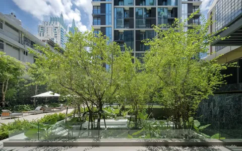 รูปที่ 4