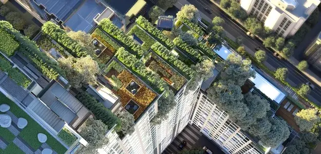 รูปที่ 5