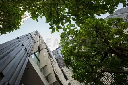 รูปที่ 5