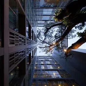 รูปที่ 4