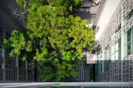 รูปที่ 5