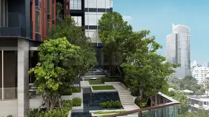 รูปที่ 3