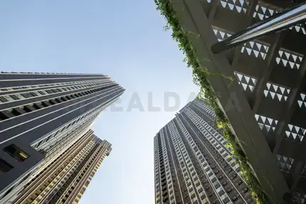 รูปที่ 2