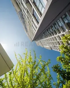 รูปที่ 5