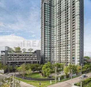 รูปที่ 3