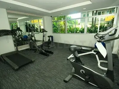 รูปที่ 3