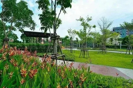 รูปที่ 5