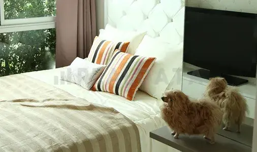 รูปที่ 4